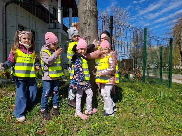 bratki przytulaja sie do drzewa