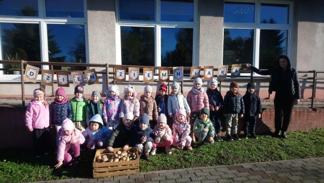 dzien ziemniaka bratki