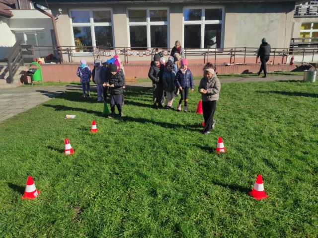 dzien ziemniaka sloneczniki