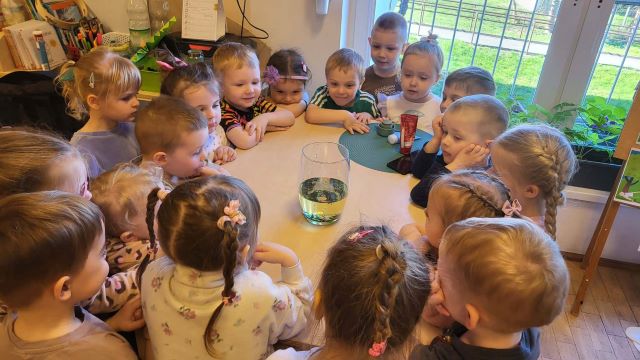 eksperymenty na chaberkach