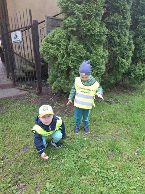 maki rozkladaja kamyki