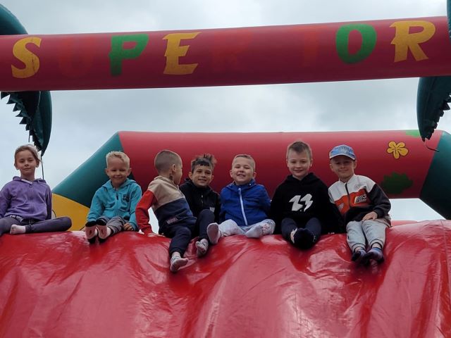 niezapominajki na dmuchancach