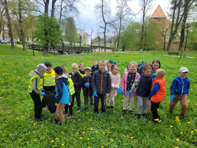 niezapominajki w parku