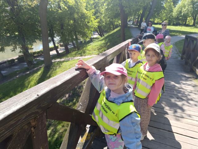 sloneczniki rozkladaja kamienie