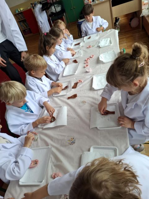 sloneczniki warsztaty czekoladowe